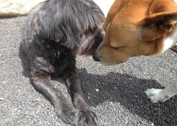 빌라 Casa El Quinto La Vegueta