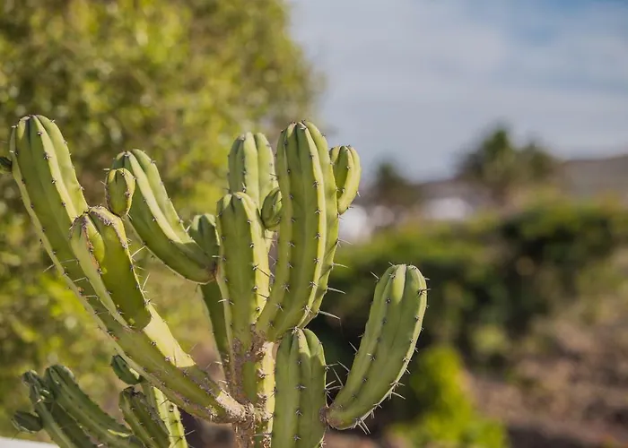 Casa El Quinto 빌라 La Vegueta