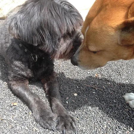 Villa Casa El Quinto La Vegueta