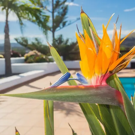 Villa Casa El Quinto La Vegueta