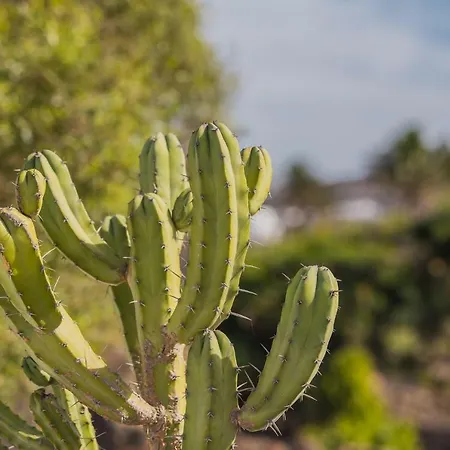 Casa El Quinto Villa La Vegueta