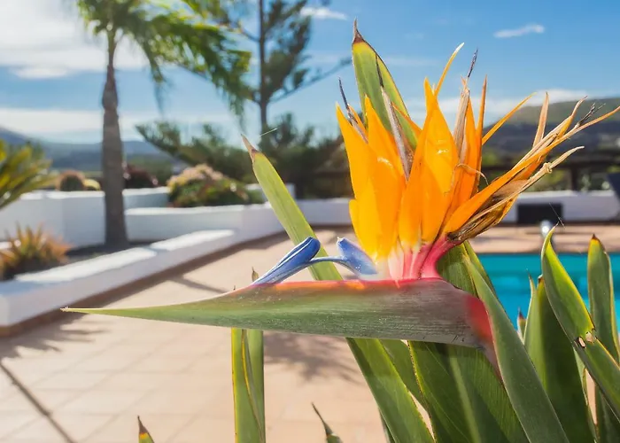 Villa Casa El Quinto La Vegueta